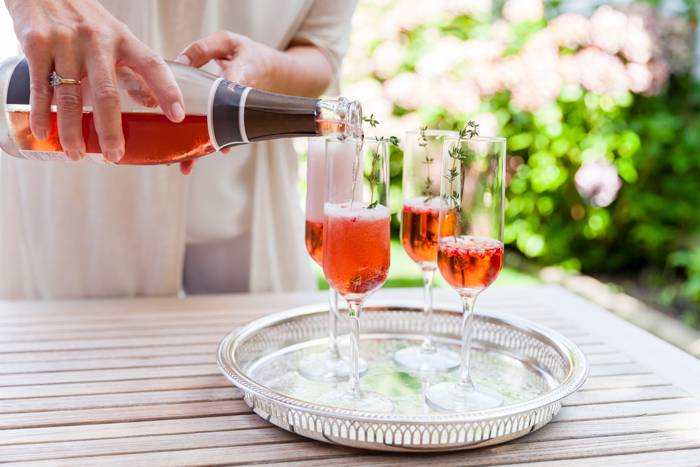 sparkling rose_darina kopcok