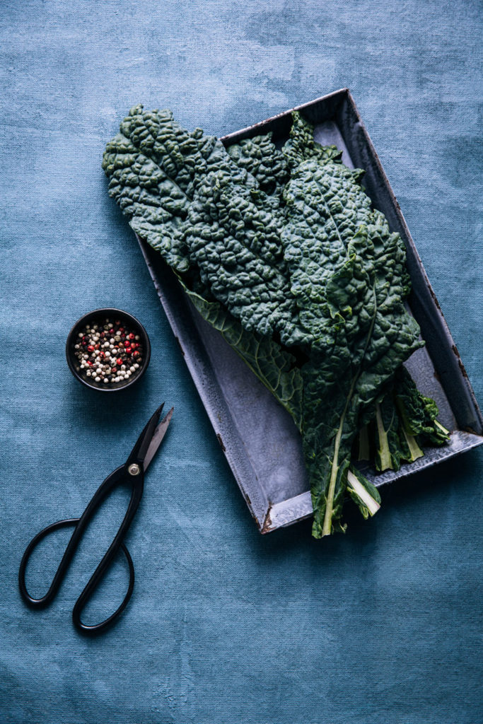 How to Choose A Camera for Food Photography by Darina Kopcok