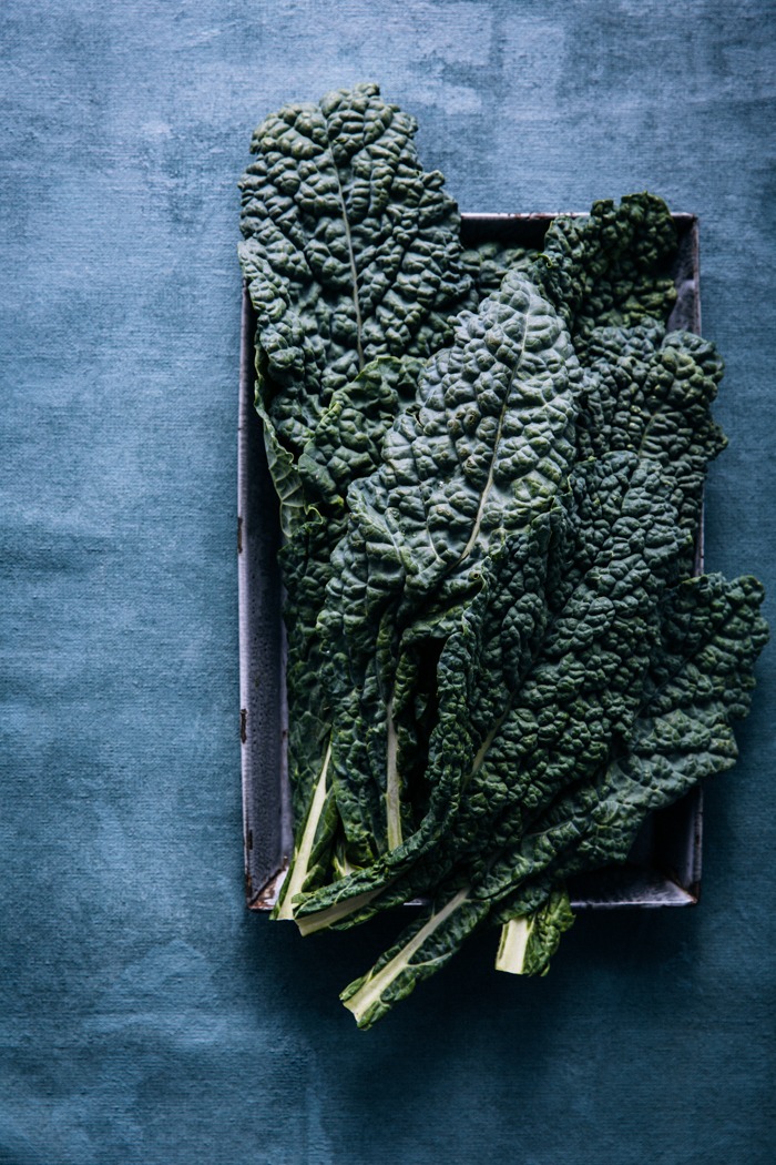 overhead shot of kale leaves on a tray-darina kopcok-gastrostoria