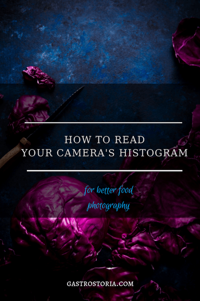 histograms-darina kopcok-gastrostoria