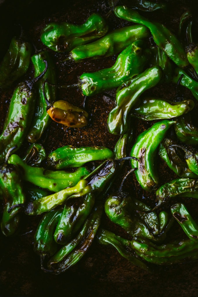 Donnelly Group-Photographer Darina Kopcok