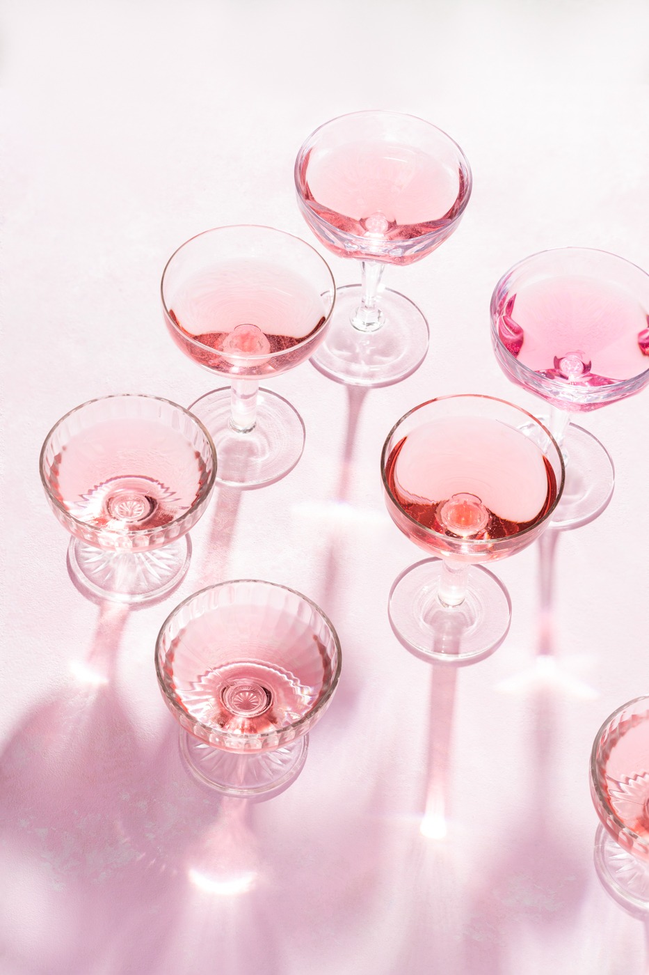 Rose-Darina Kopcok-Gastrostoria